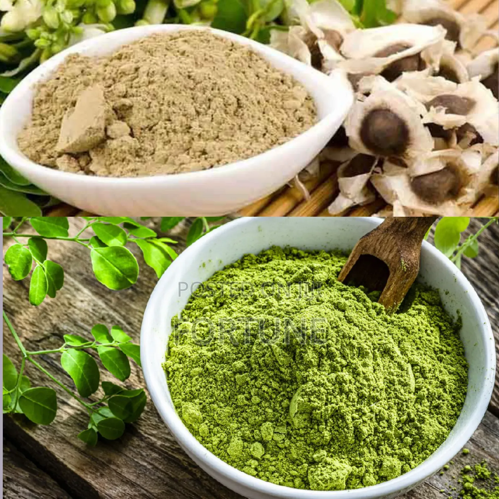 Moringa Powder 500g