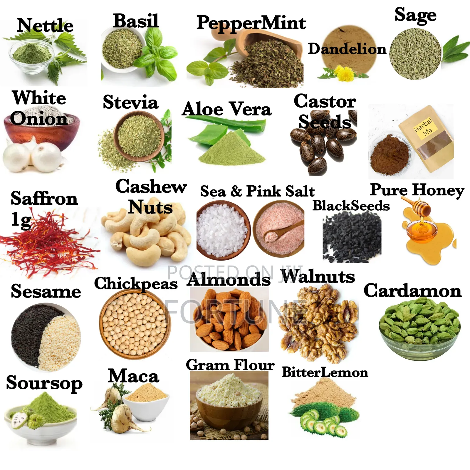 Healing Herbs