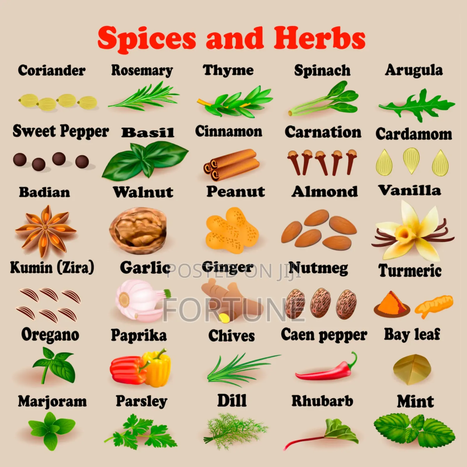 Herbs and Spices