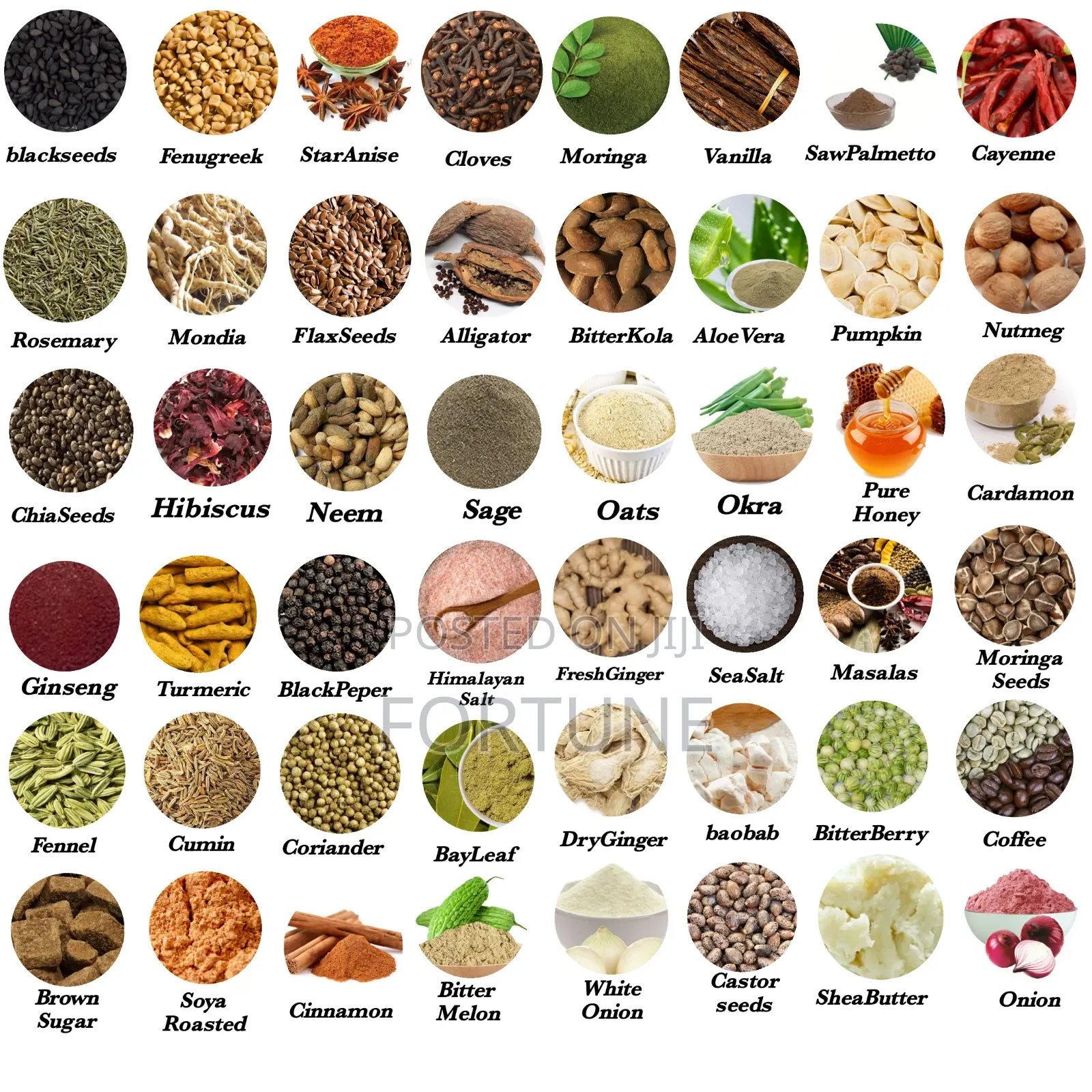 Grocery Spices