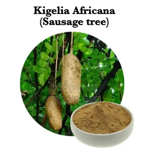 Kigalia Africana Half