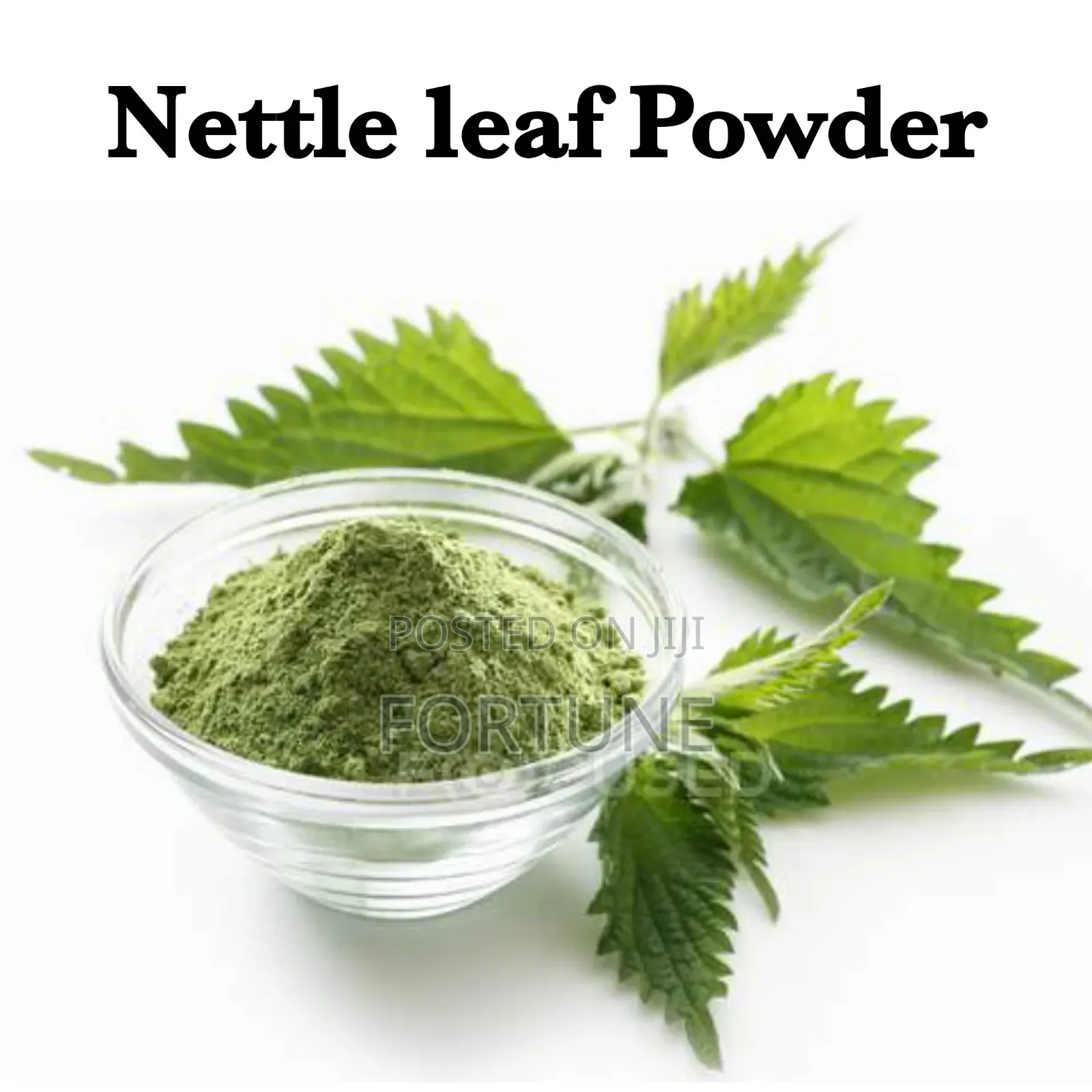 Stinging Nettle Powder 500g