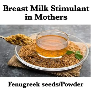 Fenugreek Seeds Kilogram