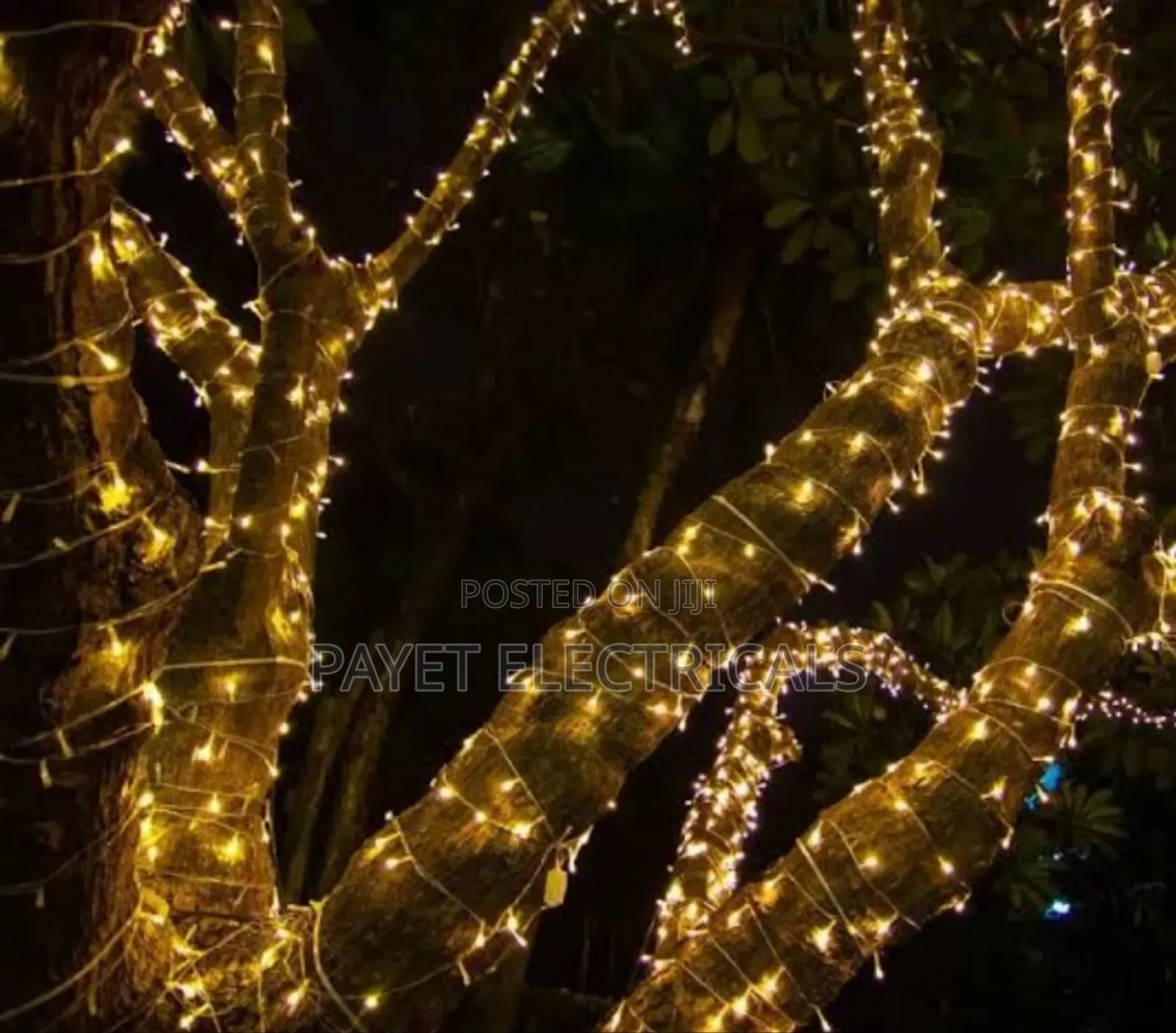 Tree String Light