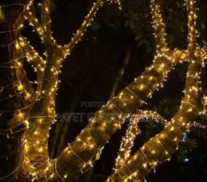 Tree String Light