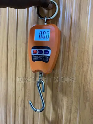 Crane Electronic Weighing Scale 200kg Electronic Scale