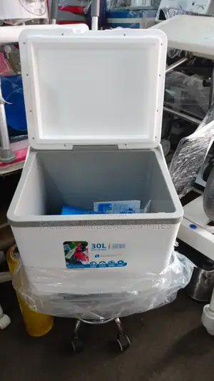 Cool Box With Ice Packs