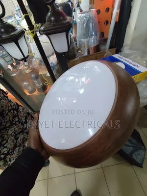 Led Ceiling Fitting