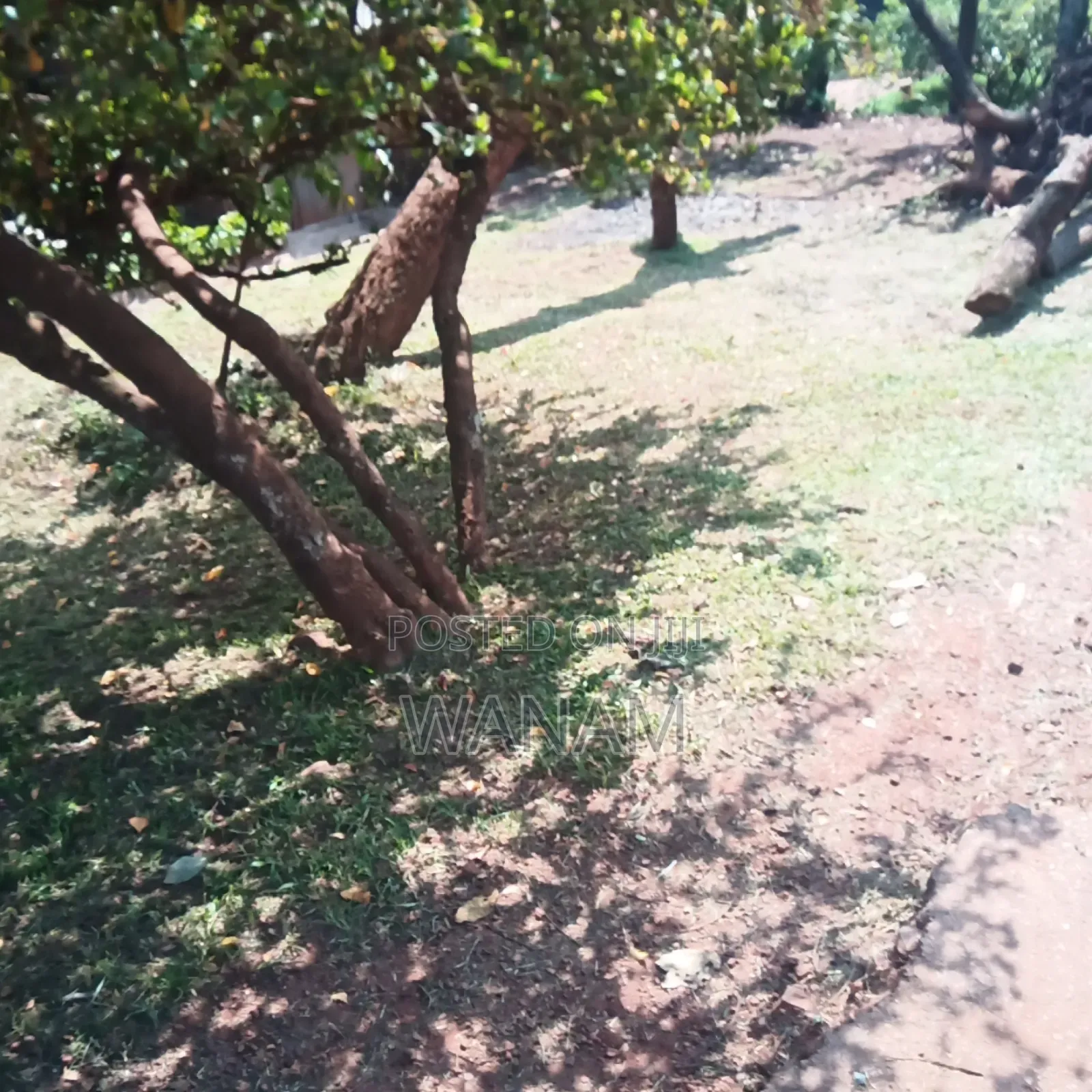 Naguru Both Commercial and Residential Plot for Sale