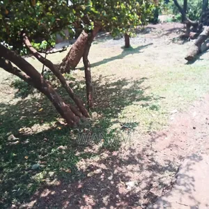 Naguru Both Commercial and Residential Plot for Sale