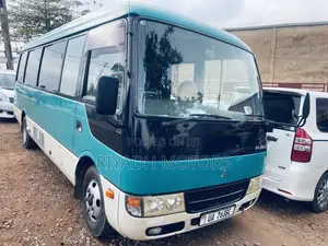 Mitsubishi Fuso Rosa 2010 Blue