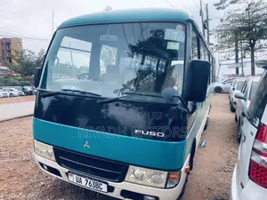 Mitsubishi Fuso Rosa 2010 Blue