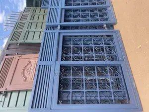 Metalic Windows in Black Colour