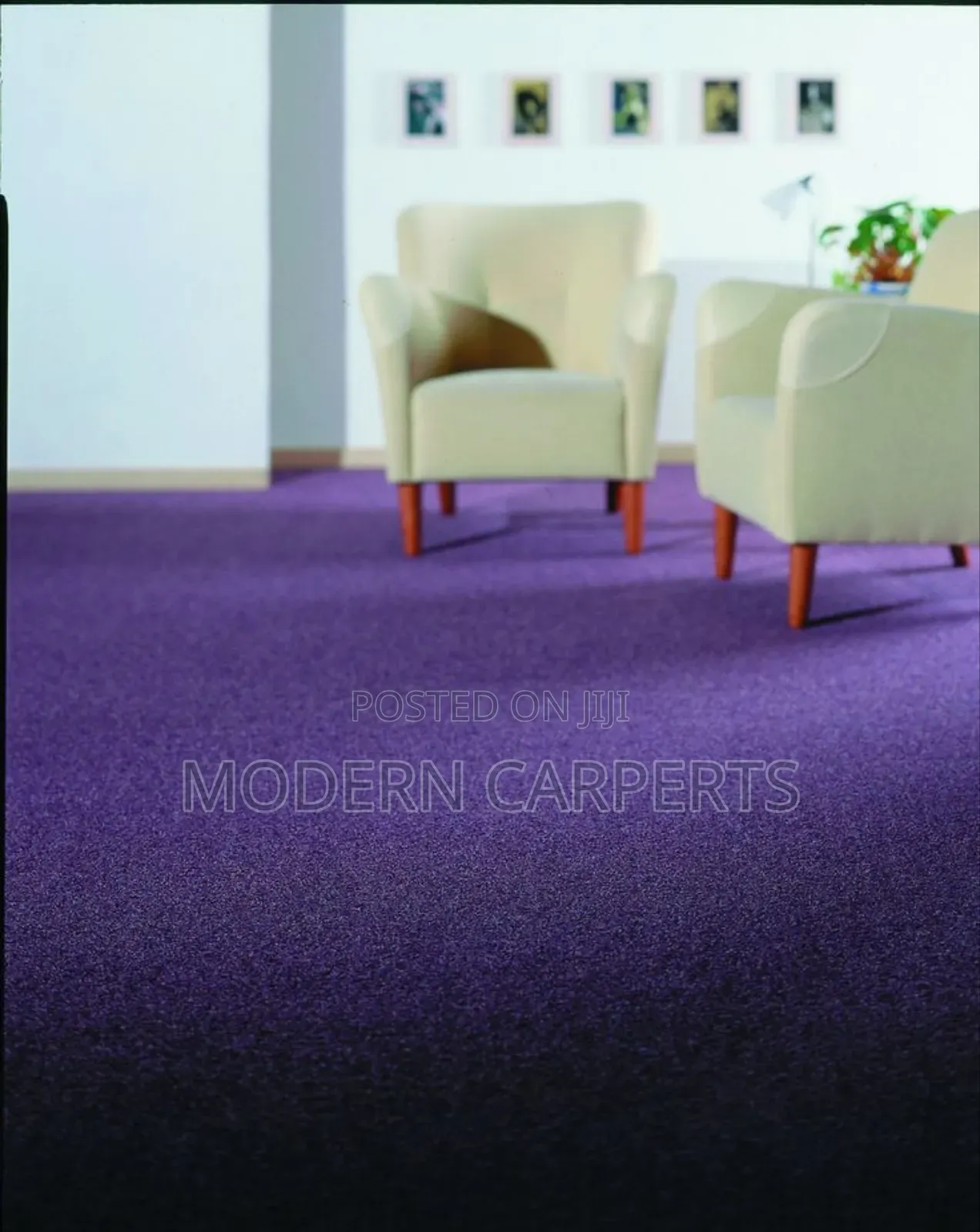 Wall to Wall Wollen Carpet for Purple