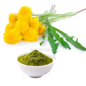 Dandelion Leaf Powder Half