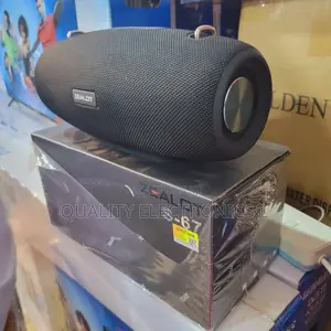 Zealot S 67 Bass Speaker