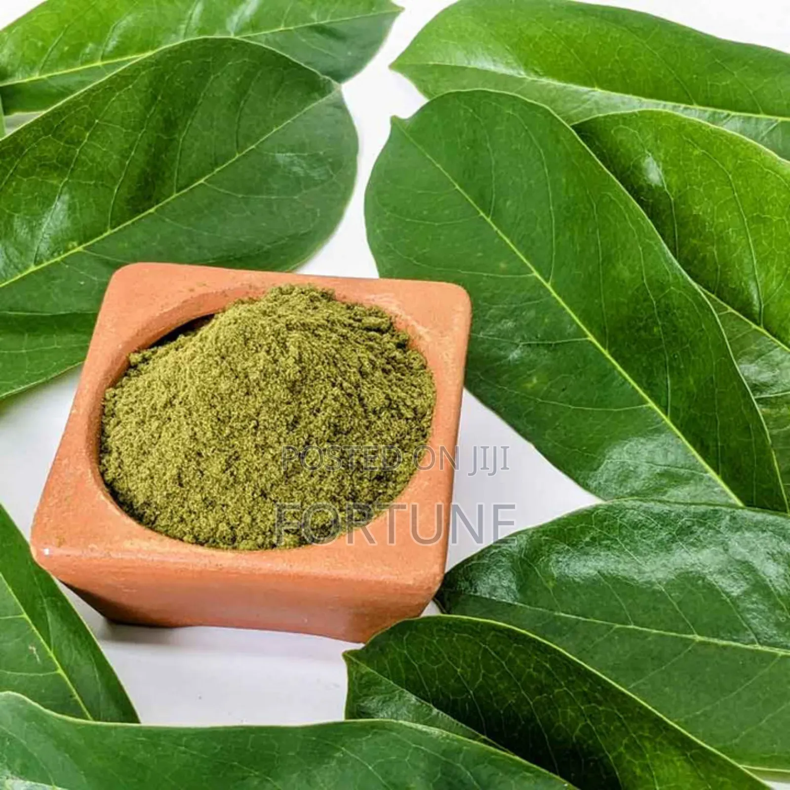 Soursop Leaf Powder Half