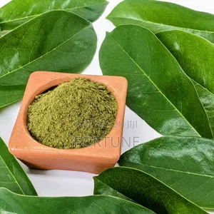 Soursop Leaf Powder Half