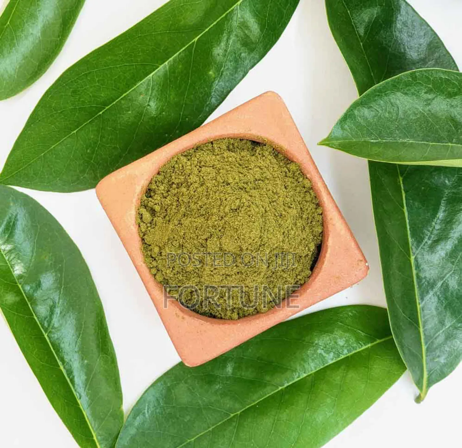 Soursop Leaf 500grams