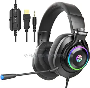 Head Set With Microphone