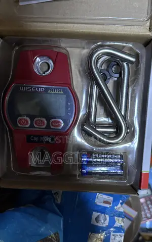 Electric Digital Hanging Scale 300kgs