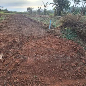 Cheap Plots