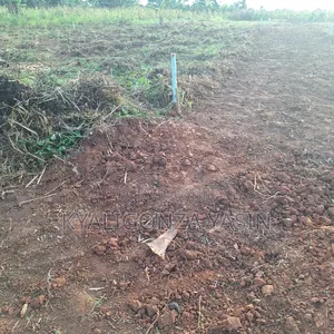 Cheap Plots