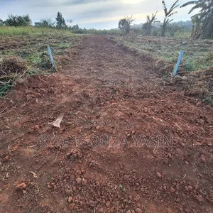 Cheap Plots