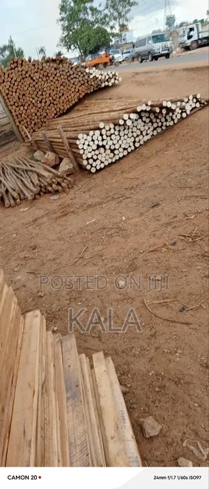 Building Services