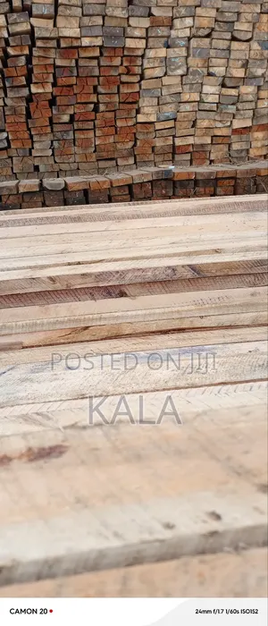 Building Services