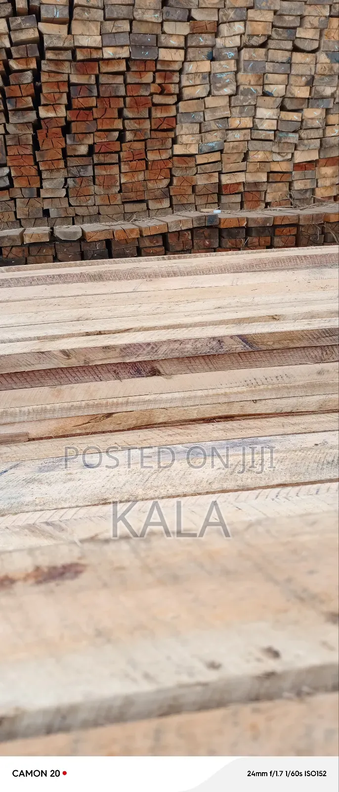Building Services