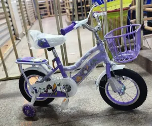 Unisex Kids Bicycle Purple