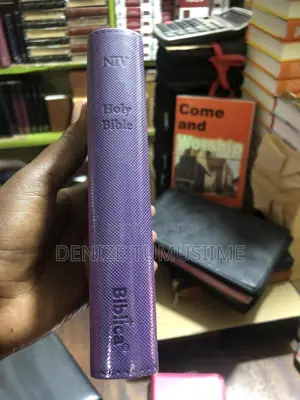 Niv Bible Version