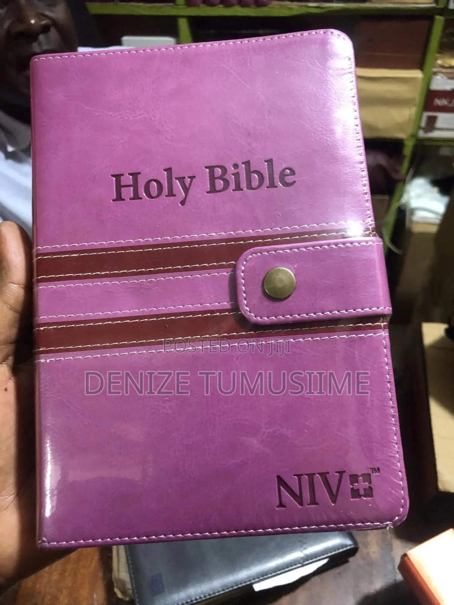 Niv Bible Version
