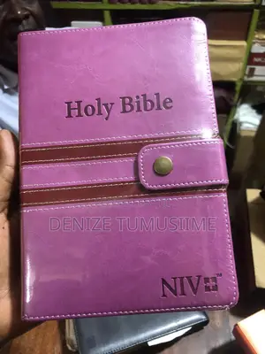 Niv Bible Version