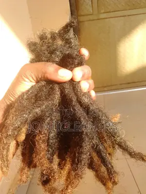Natural Dreadlocks