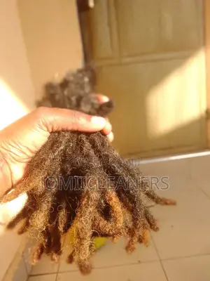 Natural Dreadlocks