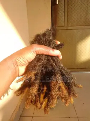 Natural Dreadlocks