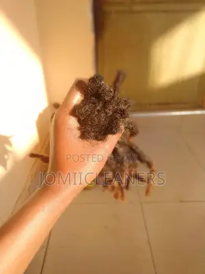 Natural Dreadlocks