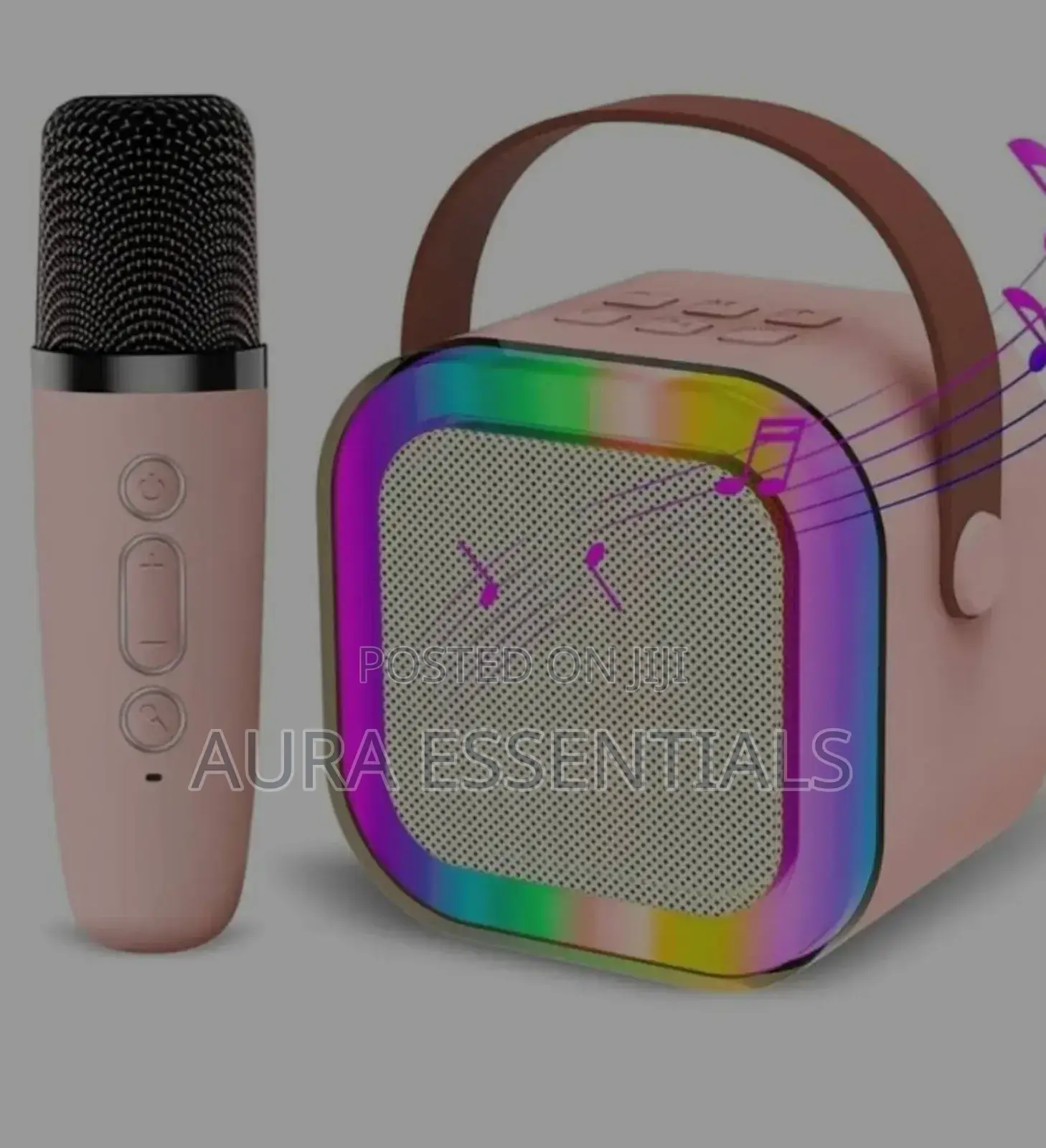 Karaoke Sound System, Model