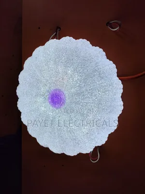 Mini Size Led Ceiling Light