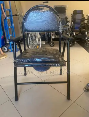 Executive Commode Chair (Adult Potty)