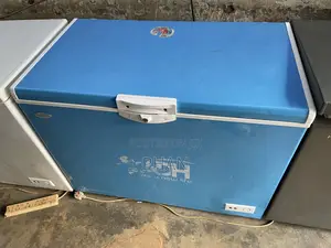 Blue Big Adh Deep Freezer