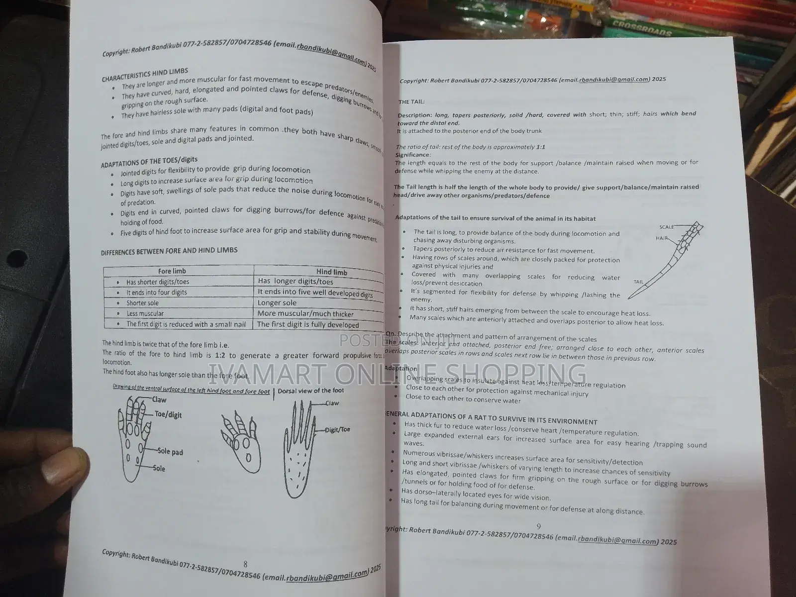 A Level Biology Practicals Book - Robert Bandikubi