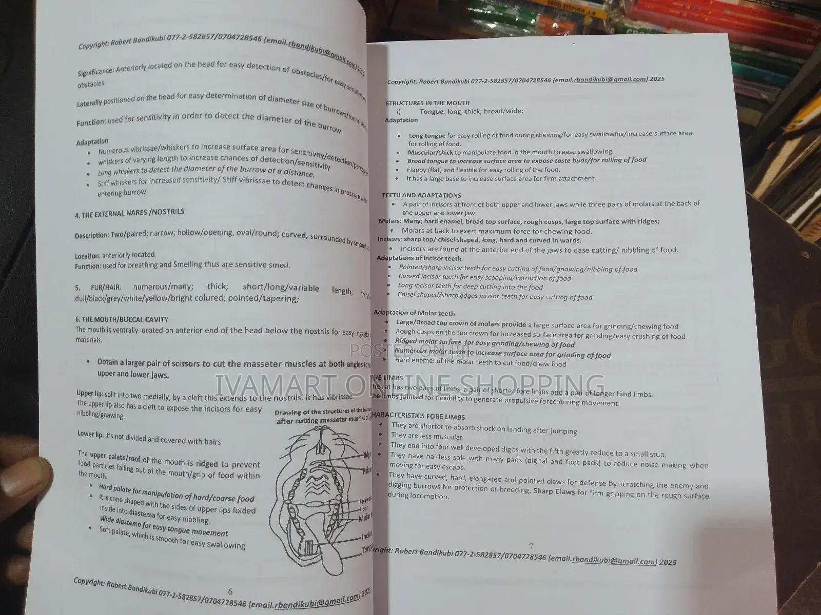 A Level Biology Practicals Book - Robert Bandikubi