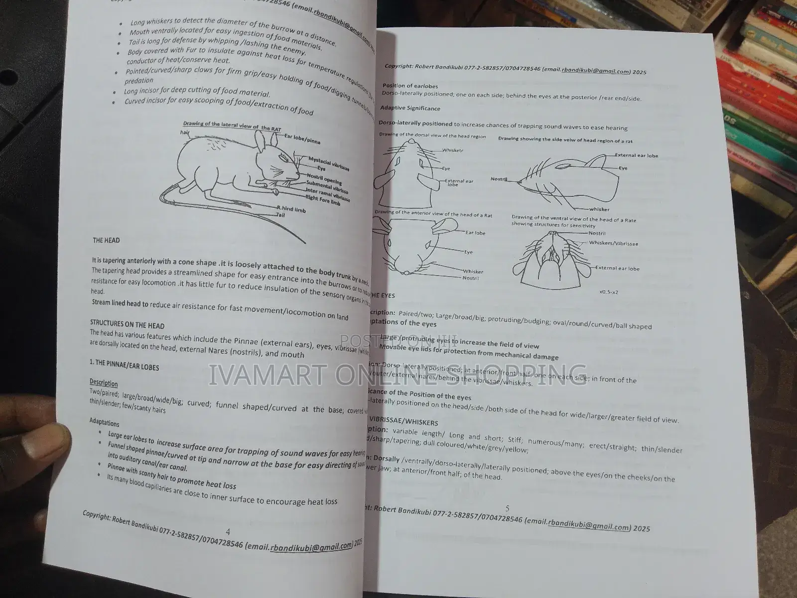 A Level Biology Practicals Book - Robert Bandikubi