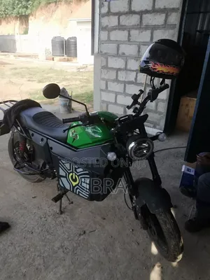 New Kawasaki 2024 Green