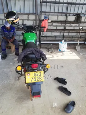 New Kawasaki 2024 Green