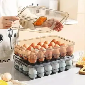 Plastic Egg Storage Box