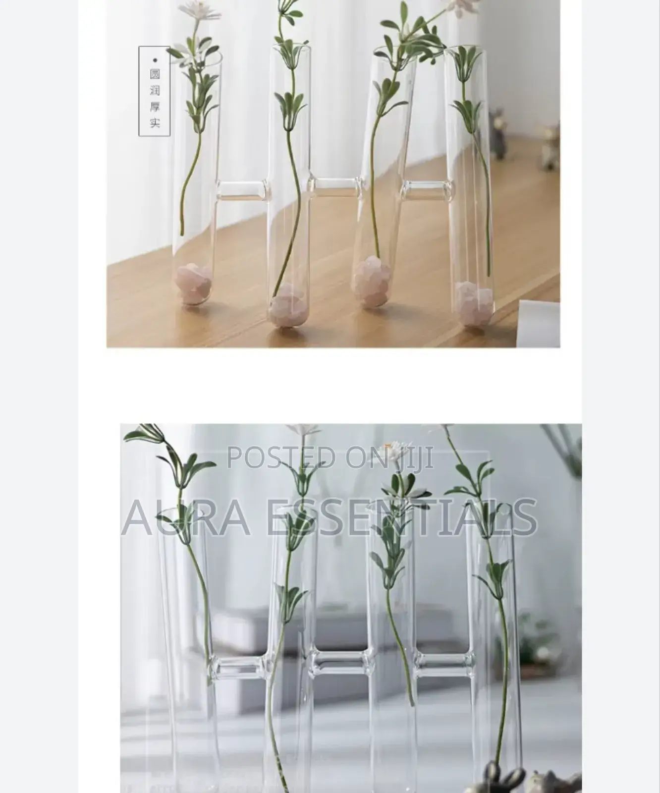 Decorative Clear Test Tube Flower Vase
